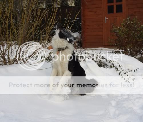 IMGP6166.jpg
