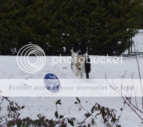 IMGP6708.jpg