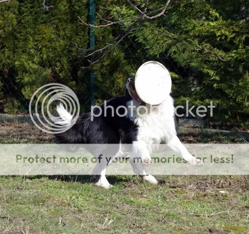 IMGP7798.jpg