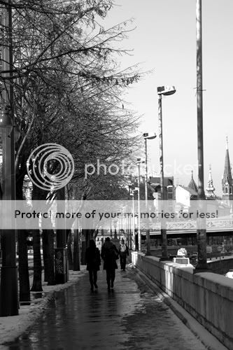 IMGP7870.jpg