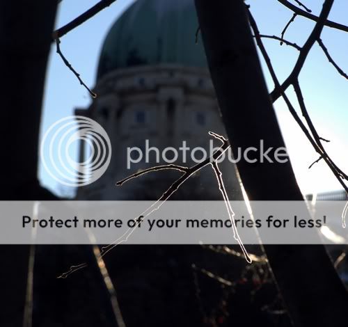 IMGP7881.jpg