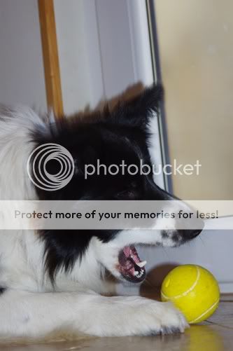 IMGP8035.jpg