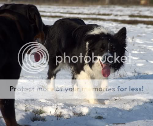 IMGP8118.jpg