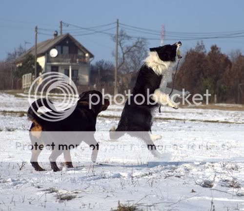 IMGP8144.jpg