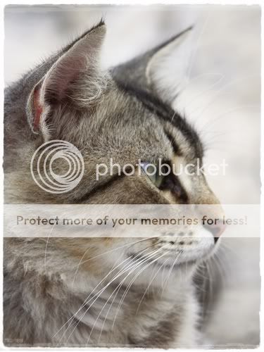 PICT0369.jpg