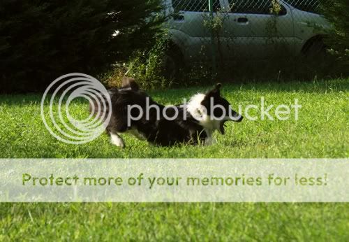 PICT0556.jpg