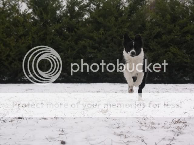 PICT0713.jpg