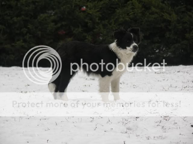 PICT0715.jpg