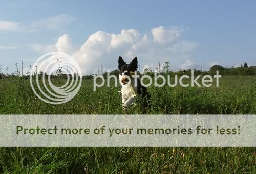 PICT0748.jpg