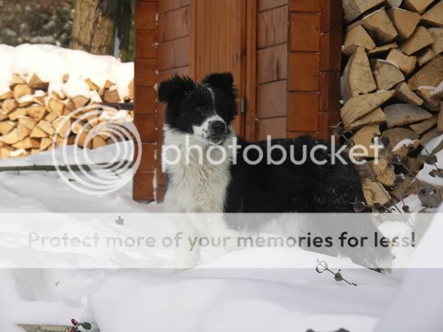 PICT0752.jpg