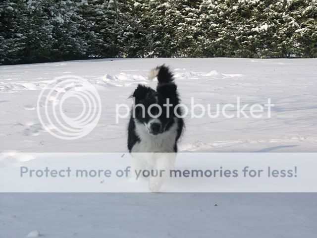 PICT0754.jpg