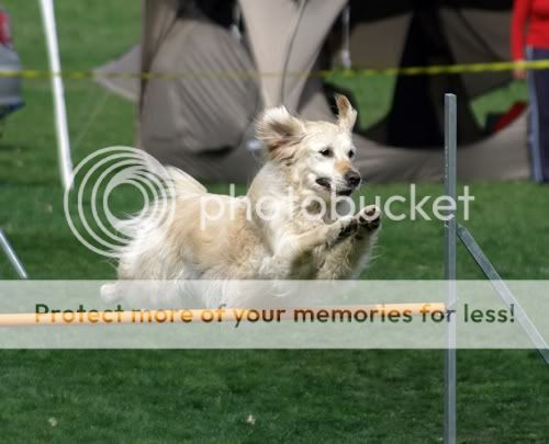 IMGP1293.jpg
