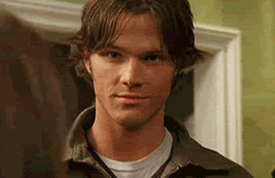 jared (c) letsgetfoxy jared londry
