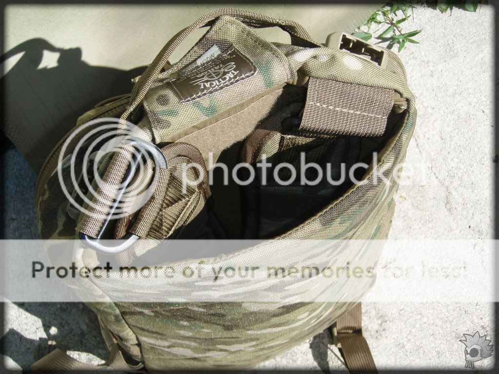 Posted Image