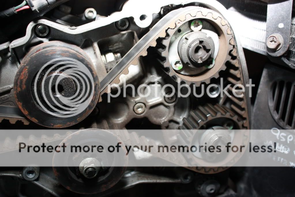 Timing Belts, are these even serviceable? Ducati.ms The Ultimate