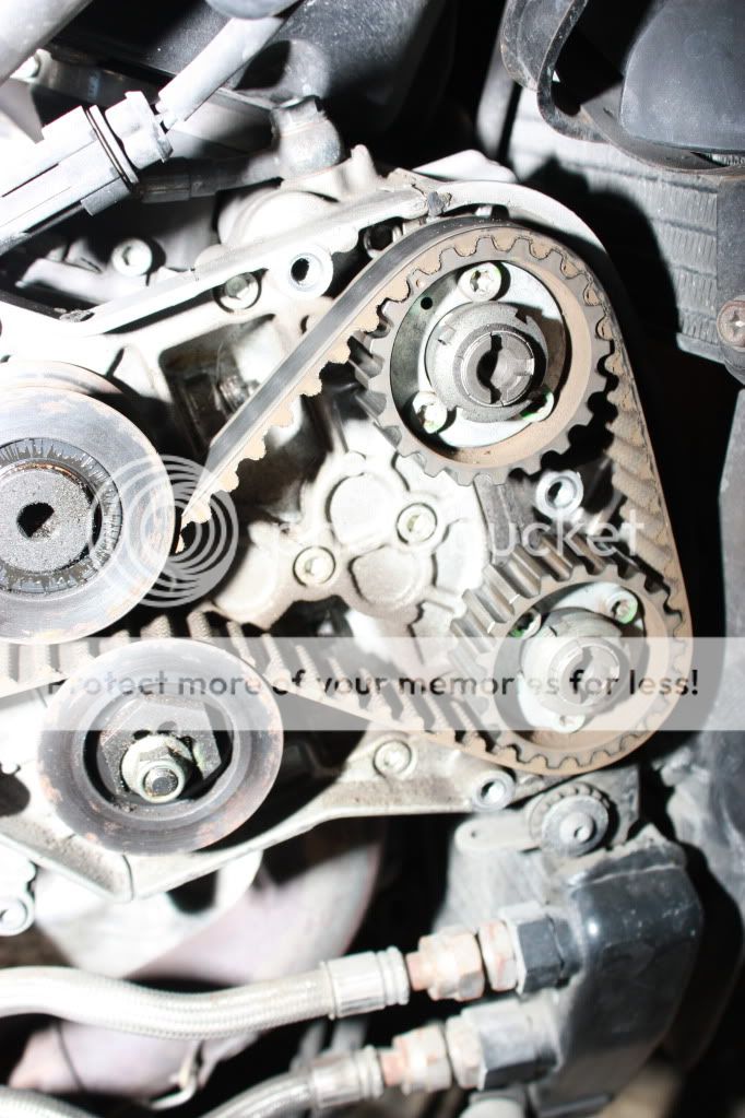 Timing Belts, are these even serviceable? Ducati.ms The Ultimate