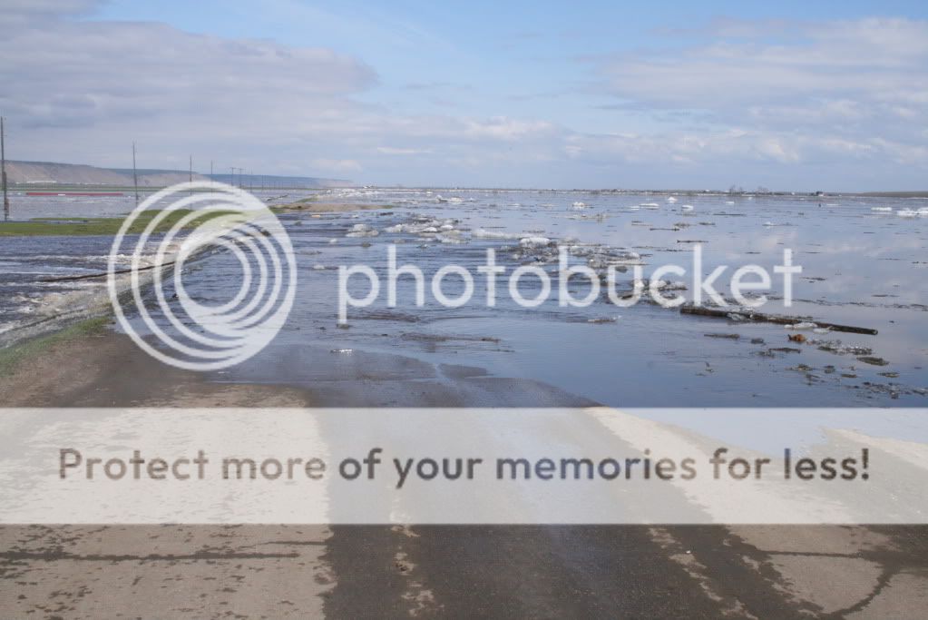 Forum Image: http://i837.photobucket.com/albums/zz299/ManiacYKT/572436.jpg