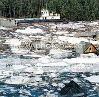 Forum Image: http://i837.photobucket.com/albums/zz299/ManiacYKT/634099433629062500_m_1241487650_658.jpg