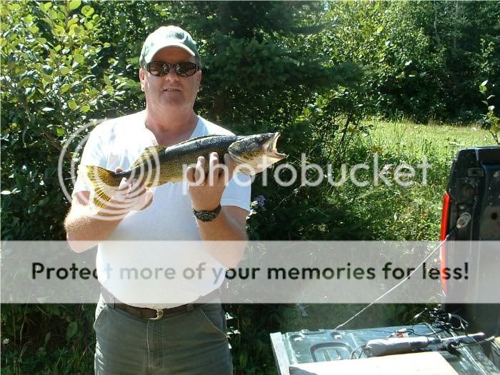 ElizabethLake19inWalleye-1.jpg picture by WalleyeWayne