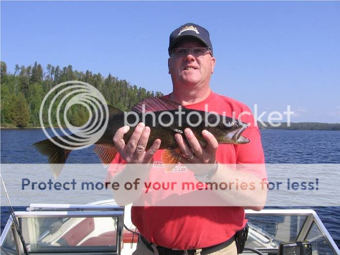 MarksLake22inWalleye.jpg Marks Lake 22in Walleye picture by WalleyeWayne