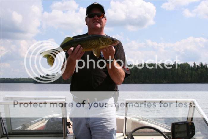 MarksLake23inWalleye.jpg Marks Lake 23in Walleye picture by WalleyeWayne